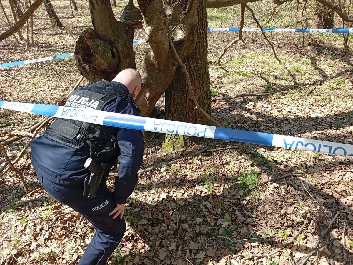 Granat moździerzowy z II wojny światowej znaleziony w lesie pod Miłakowem