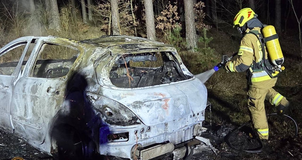 DW 179. Auto stanęło w ogniu. Szybka akcja strażaków