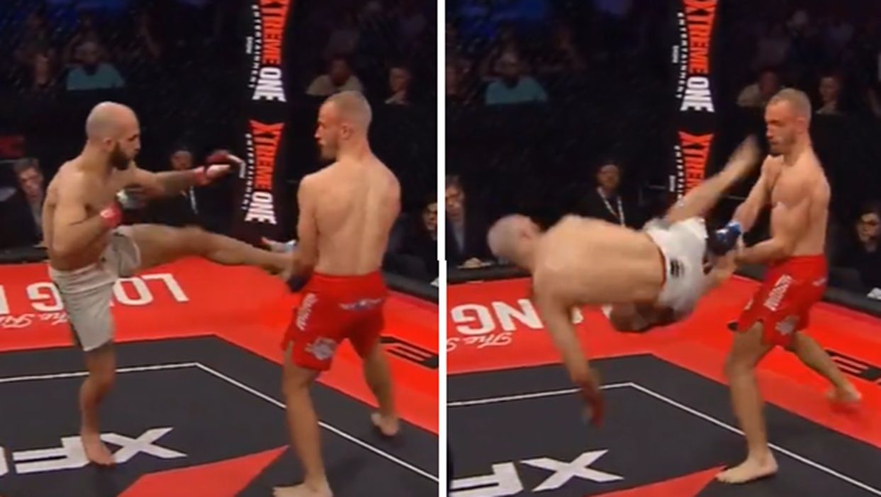 wiadomości sportowe mma