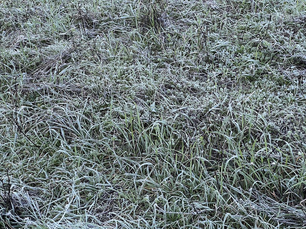 Prognoza pogody na weekend. Zima nie odpuszcza