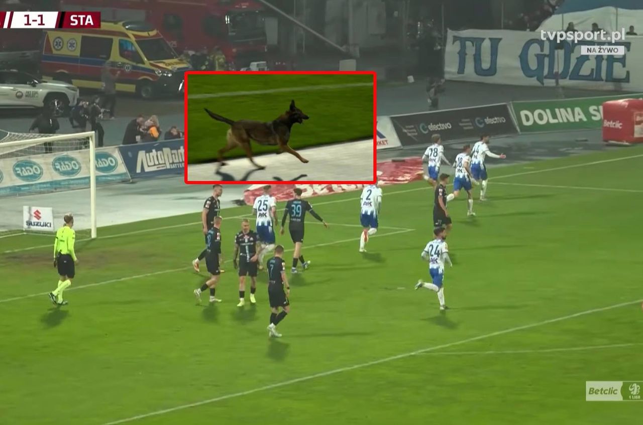 Niespodziewany "gość" na murawie. Roznosiła go energia