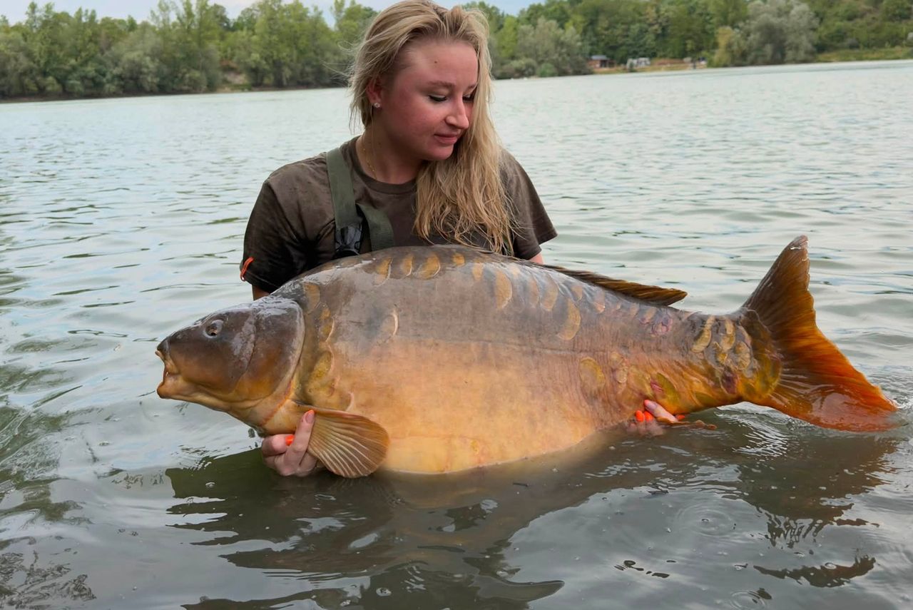 Rekordowy karp: Polka złowiła potwora o wadze 36,8 kg!