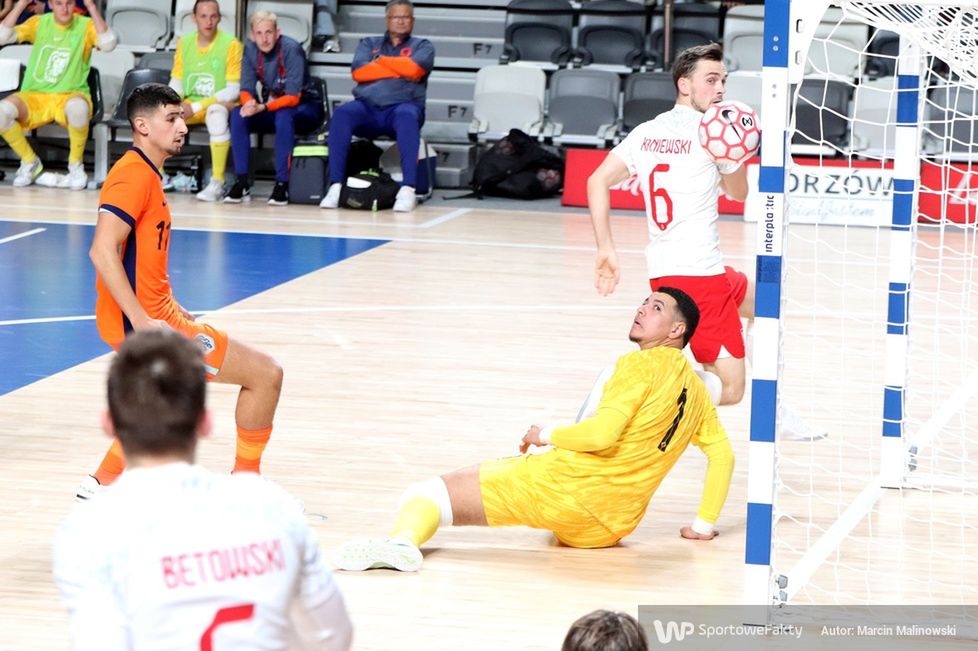 Polska - Holandia 2:2 (galeria)