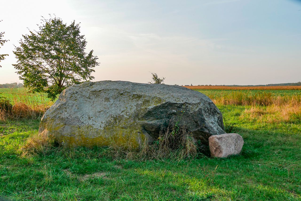 Tarcza Olbrzyma – tajemniczy głaz, który przyciąga ciekawskich i radiestetów