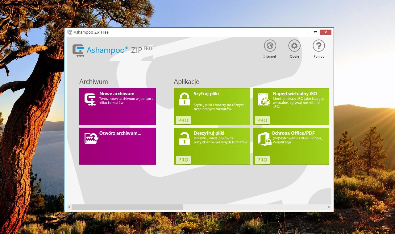 Ashampoo Zip Pro 4.50.01 download the new version for android