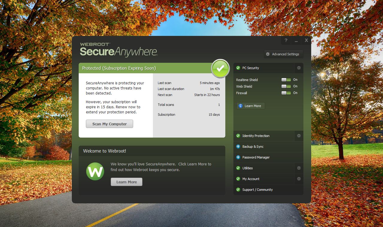 download Webroot SecureAnywhere AntiVirus 9.0.29.62