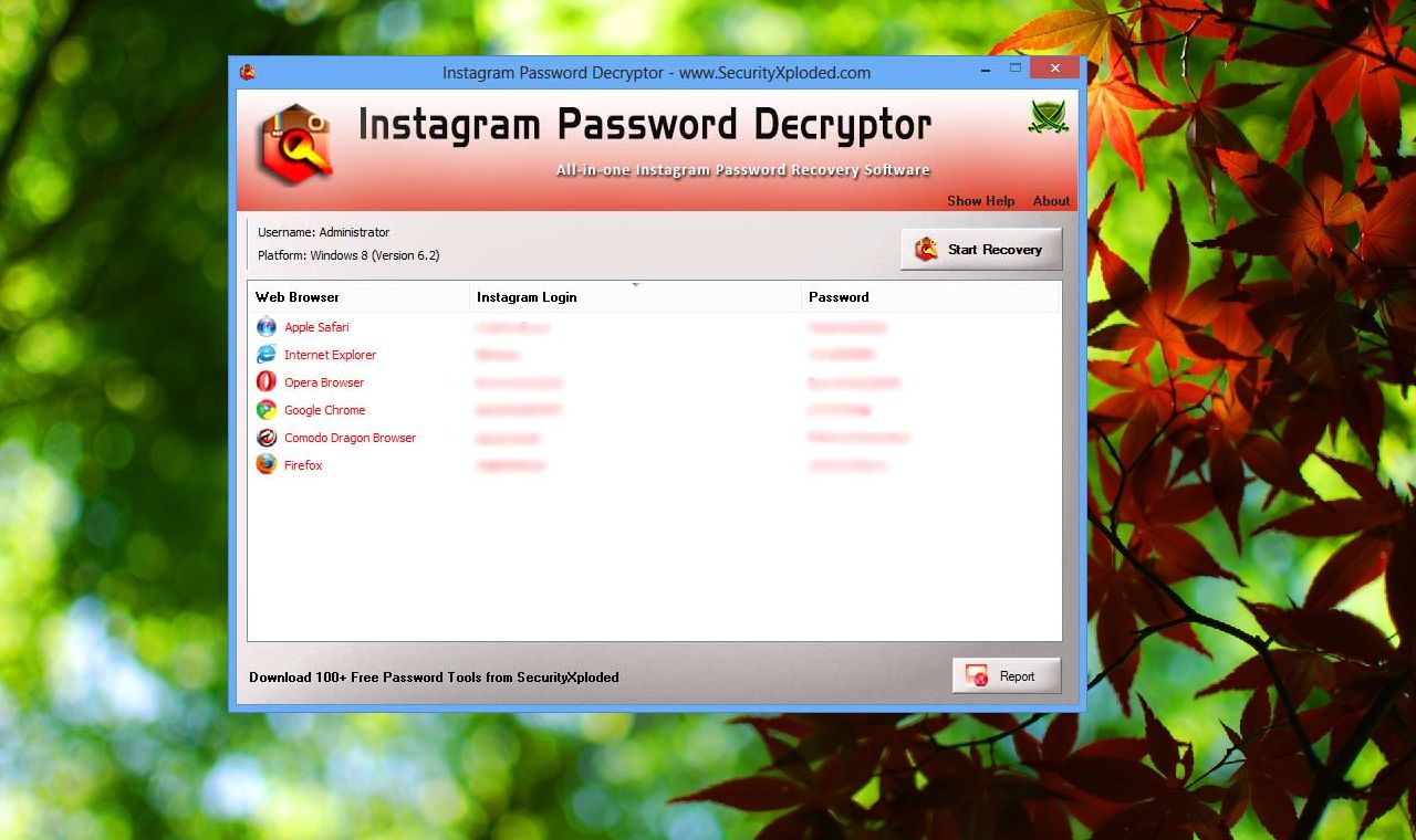 instagram password decryptor instagram password decryptor