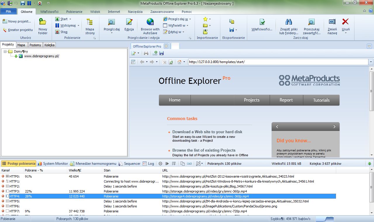 Offline explorer pro что это