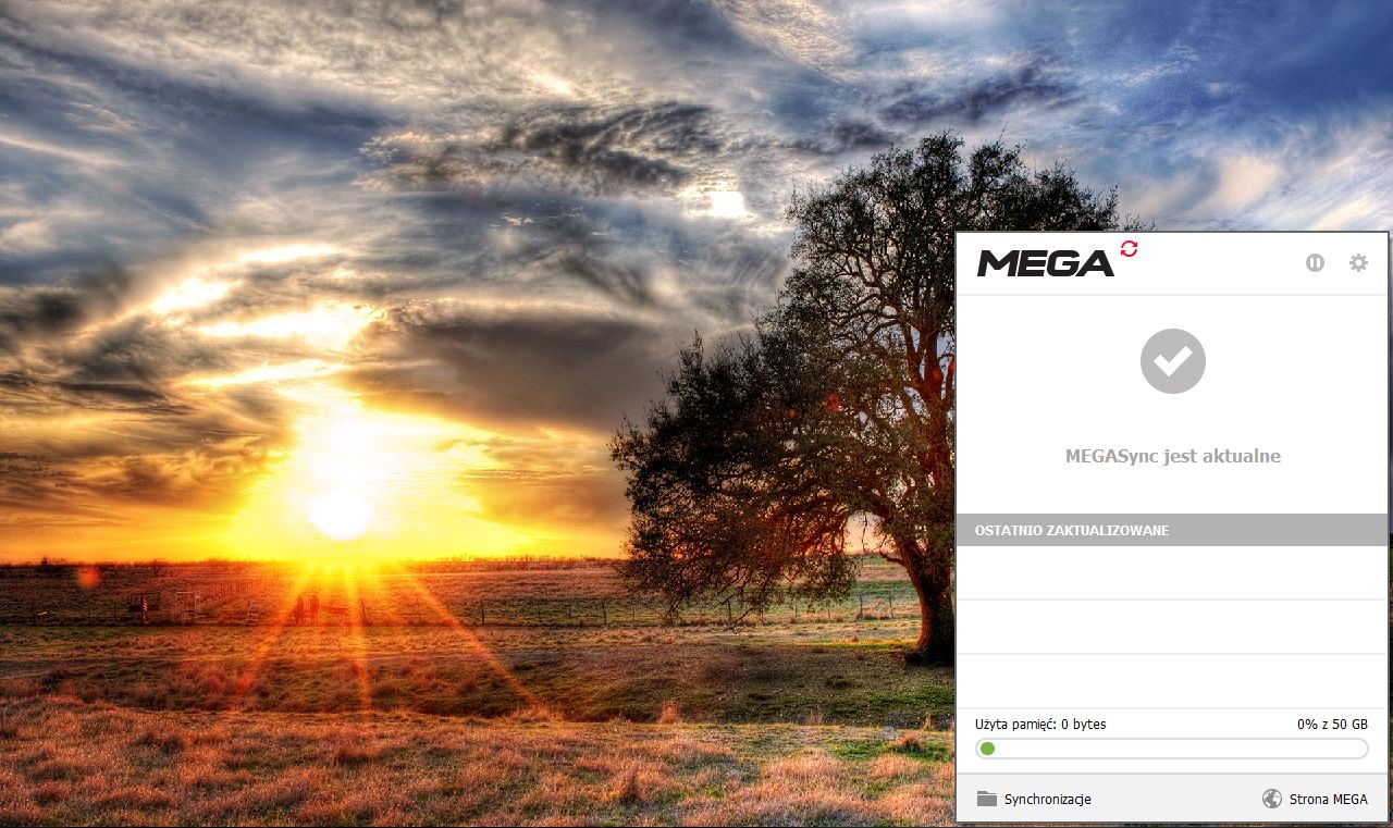 MEGAsync 4.9.5 for windows instal free