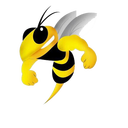 Coventry Bees