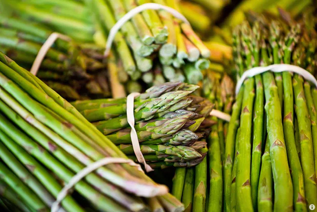 Exploring rising love for asparagus the trendy lowcalorie veg that