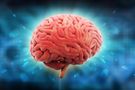 Śmierć mózgu, czy naprawdę istnieje? Czyli o kontrowersjach w transplantologii