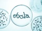 Szkocka pielęgniarka zarażona wirusem Ebola wyzdrowiała