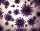 GIS ostrzega: grypa atakuje