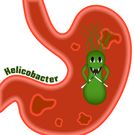 Helicobakter pylori test - charakterystyka bakterii, czynniki ryzyka zakażeń, wskazania do diagnostyki, test,  choroby wynikające z zakażenia, leczenie, profilaktyka