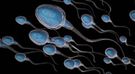 Co szkodzi spermie? Wszechobecne zanieczyszczenia (WIDEO)