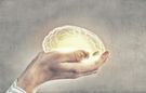 Nowe badania: nadciśnienie może zmniejszyć mózg