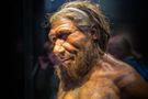 Ludzie z genami neandertalczyków trzykrotnie bardziej narażeni na ciężki przebieg COVID-19