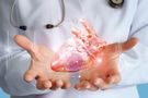Koarktacja aorty (zwężenie cieśni aorty) - przyczyny, objawy i leczenie