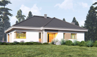 Projekt domu uA463 - parterowy dom o powierzchni 174,60 m², dach wielospadowy, koszt budowy 516 000 zł - ujęcie frontu