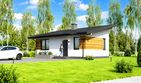Projekt domu letniskowego Planujdom 037 ABP1101 - parterowy dom o powierzchni 40,01 m², dach jednospadowy - ujęcie 3