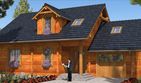 Projekt domu A-103 Dom jastrzębia - z bali - parterowy z poddaszem dom o powierzchni 113,70 m², dach dwuspadowy - ujęcie 2