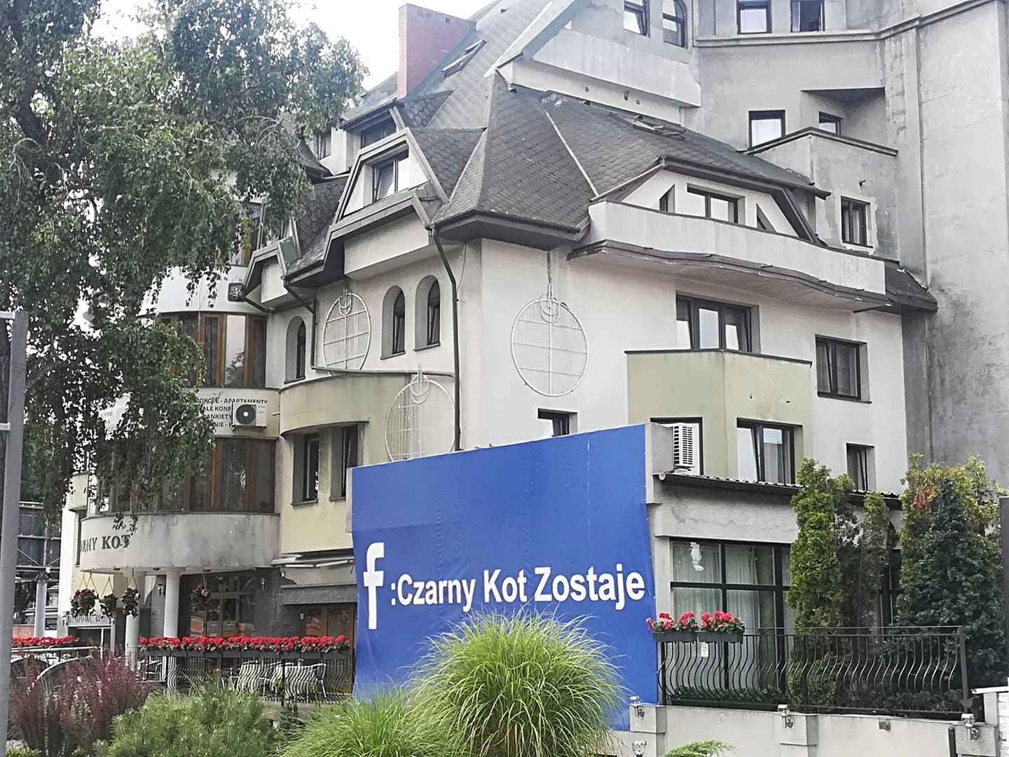 Czarny Kot Opiera Sie Rozbiorce Jeszcze Upiekszyli Go Banerami