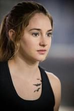 wywiad z Shailene Woodley i Ansel Elgort