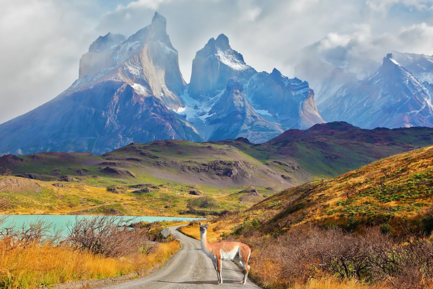 Zachwycająca Patagonia położona jest na terenie Argentyny i Chile