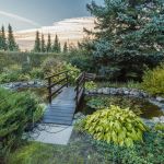 Wellness, relaks