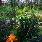 Wellness, relaks