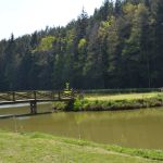 Centru Wellness, relaxare