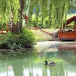 Centru Wellness, relaxare