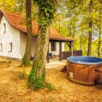 Centru Wellness, relaxare