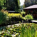 Centru Wellness, relaxare