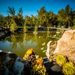 Centru Wellness, relaxare