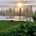 Centru Wellness, relaxare