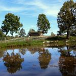 Centru Wellness, relaxare