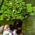 Centru Wellness, relaxare