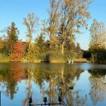 Centru Wellness, relaxare
