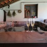 Wellness & relax