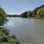 Centru Wellness, relaxare