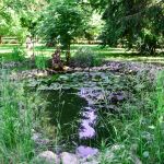 Centru Wellness, relaxare