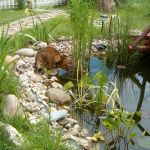 Centru Wellness, relaxare