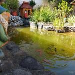 Centru Wellness, relaxare