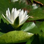Centru Wellness, relaxare