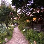 Centru Wellness, relaxare
