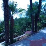 Centru Wellness, relaxare