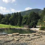 Wellness, relaks