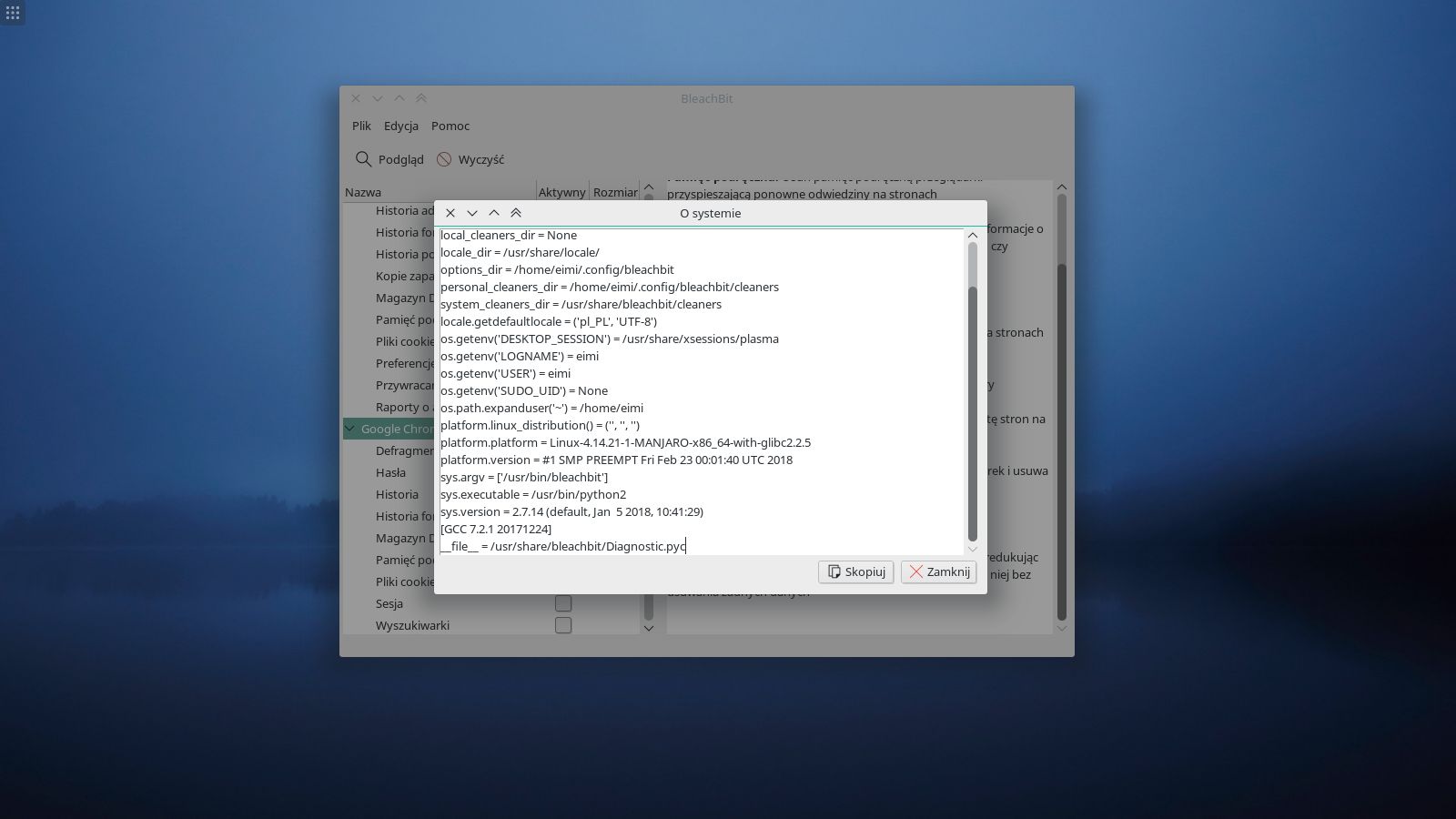 BleachBit 4.6.0 download the new for mac